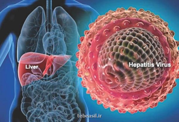 مرادی خبر داد؛ کاهش موارد هپاتیت B در کشور